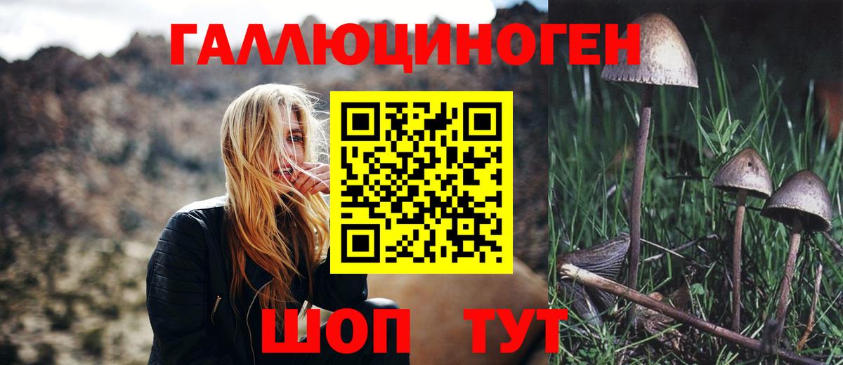 Псилоцибиновые грибы GOLDEN TEACHER Луховицы