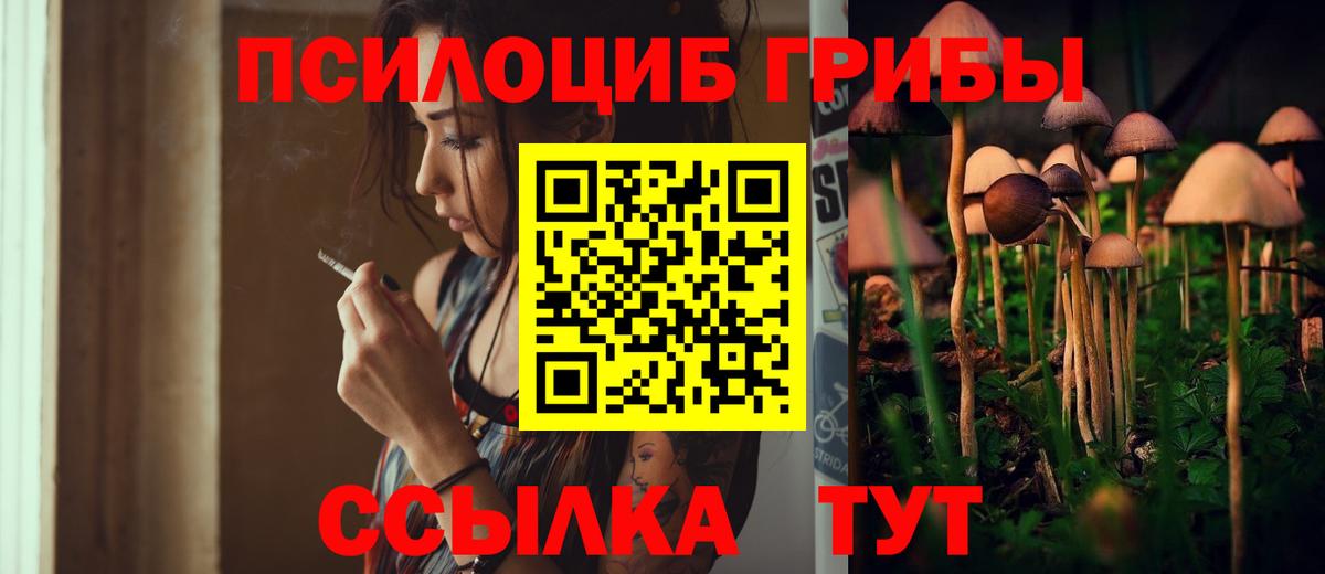 Луховицы  Галлюциногенные грибы GOLDEN TEACHER  где можно купить наркотик  Вход с VPN 